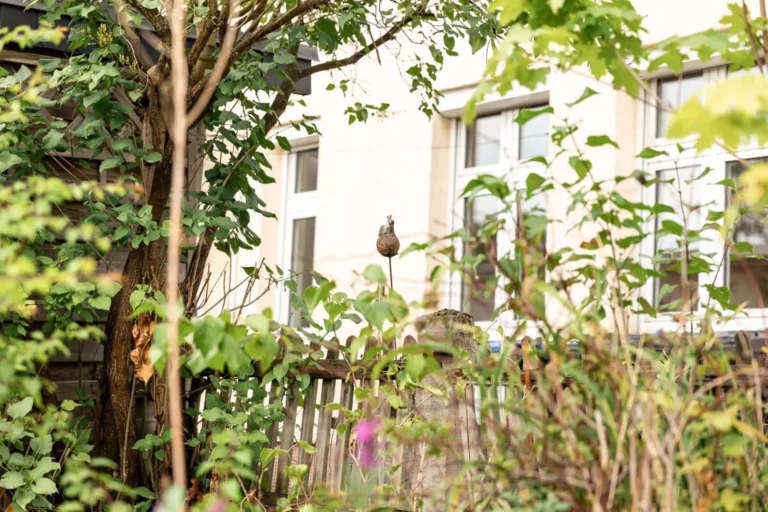 Blick auf ein Reihenmittelhaus in Lübeck durch Büsche und Sträucher
